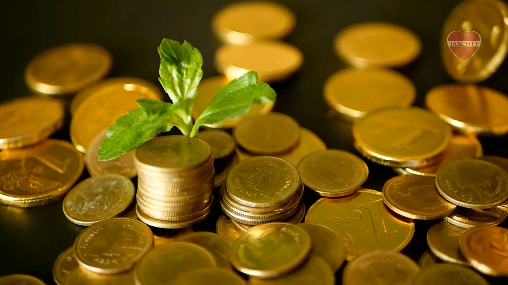 A gold coin with a plant growing out of it, symbolizing the growth and preservation of wealth with an estate bond.