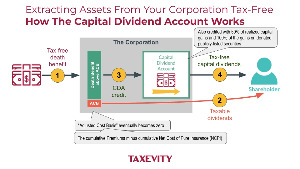 diagram showing life insurance and the capital dividend account