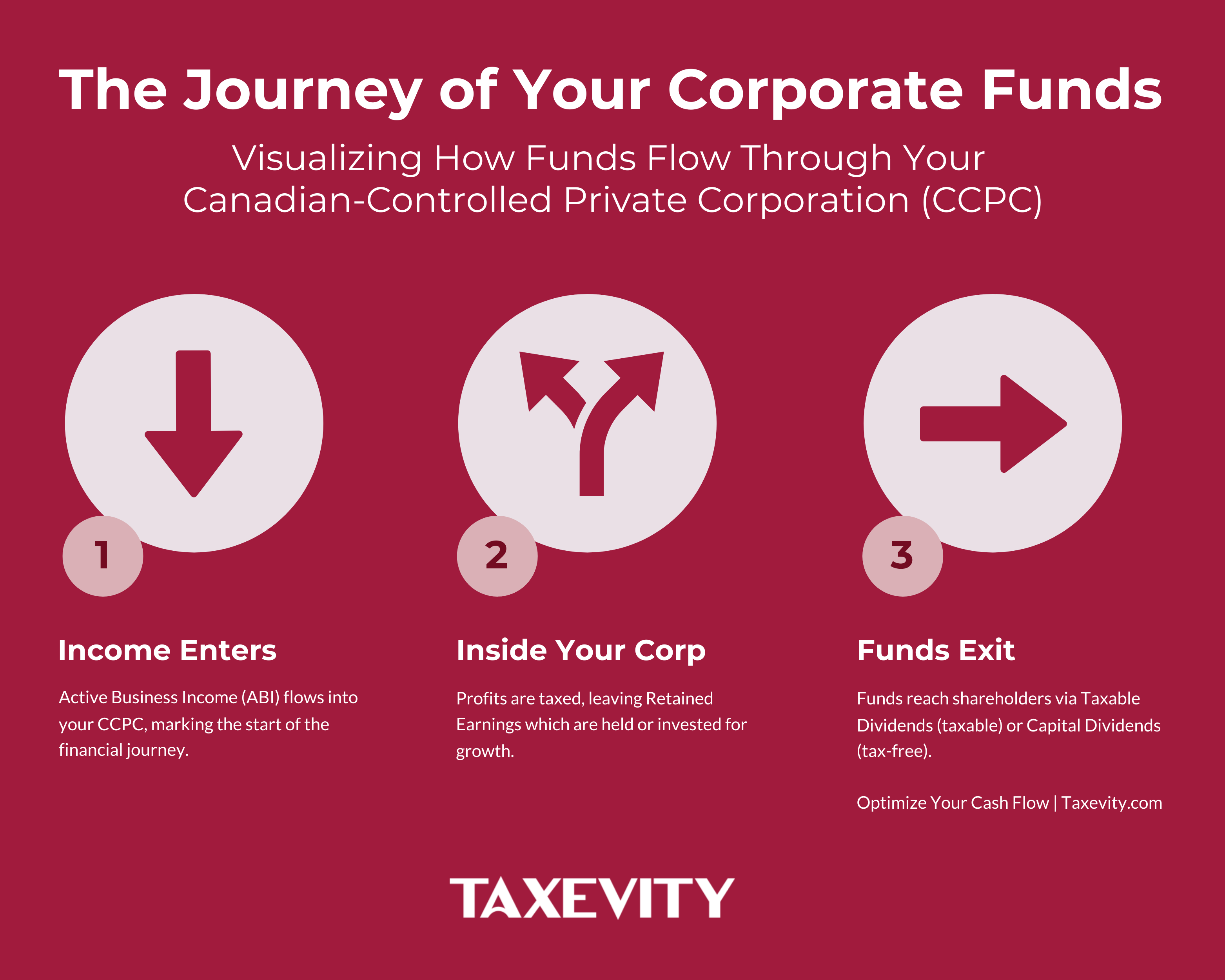 A visual guide to the flow of corporate funds Infographic showing the 3-stage journey of corporate funds in a CCPC: 1. Income Enters (ABI), 2. Inside the Corp (Tax, Retained Earnings, Investment), 3. Funds Exit (Dividends to Shareholders).